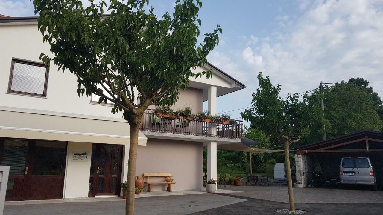 Guesthouse Pri Mihelovih Сежана Екстериор снимка